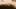 picture_focus_2.jpg