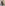 VR Profile Image